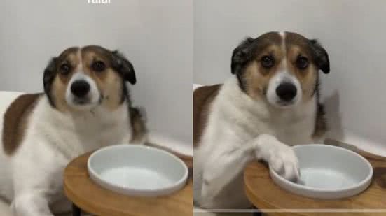 Reprodução // TikTok @isa_milann