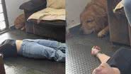 Reprodução// TikTok @sansaoogolden