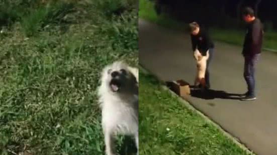 Reprodução//TikTok @governoparana