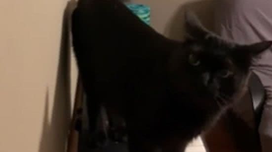 Reprodução / Redes sociais