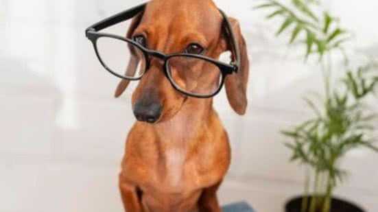 Ilustrativa / FreePik