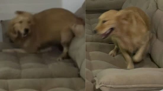 Reprodução / Redes sociais