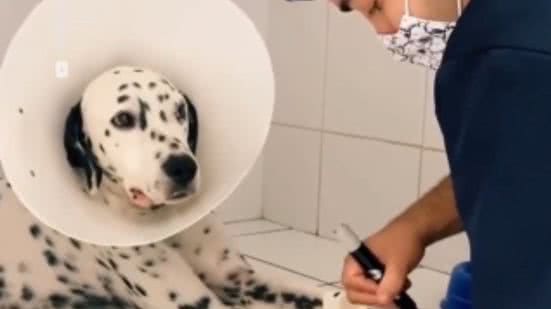 Reprodução / Redes sociais