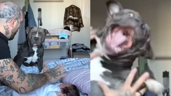 Reprodução / Redes sociais