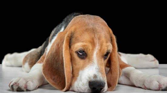 Ilustrativa / FreePik