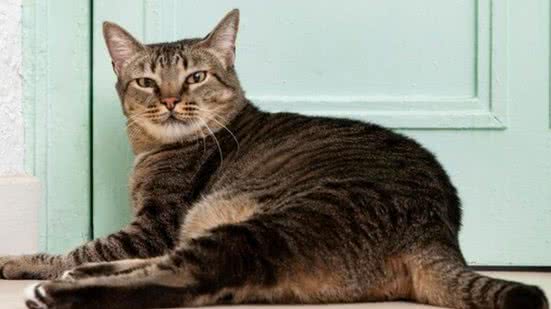 Ilustrativa / FreePik