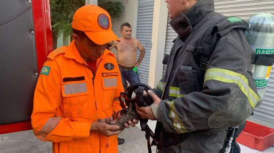 Reprodução / CBMCE