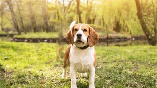 Ilustrativa / FreePik