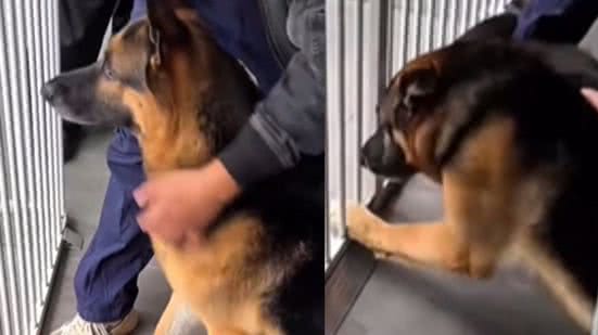 Reprodução / Redes sociais