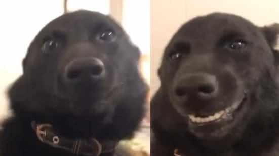 Reprodução / Redes sociais