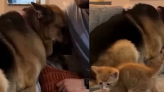 Reprodução / Redes sociais