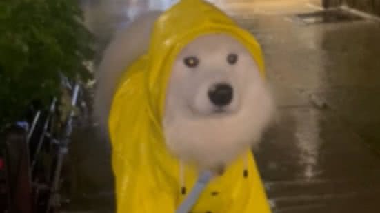 Reprodução / Redes sociais