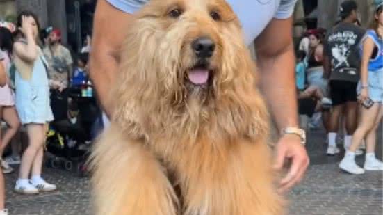 Reprodução / Redes sociais