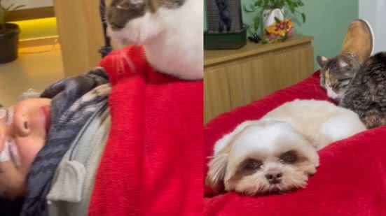 Reprodução / Redes sociais