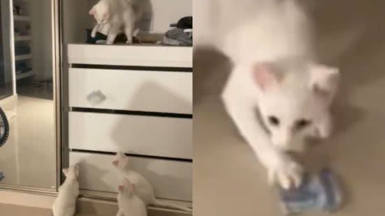 Reprodução / TikTok