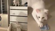 Reprodução / TikTok