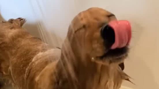 Reprodução / Redes sociais