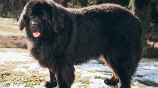 Ilustrativa / FreePik