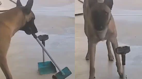 Reprodução / Redes sociais