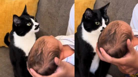 Reprodução / Redes sociais