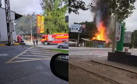 Reprodução