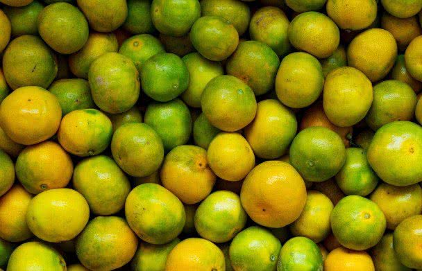 Divulgação / Freepik