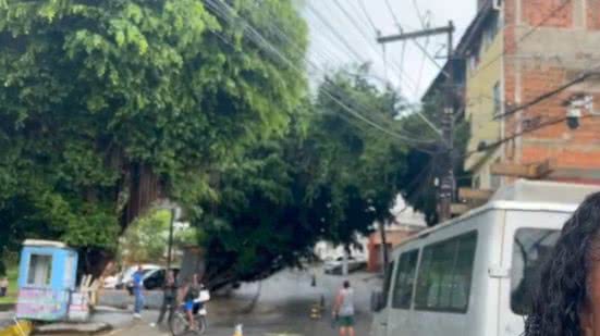 Dandara Amorim | BNews