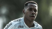 Ivan Storti/Santos FC