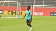 Seleção Brasileira treina no Barradão neste fim de semana