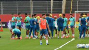 Seleção Brasileira treina no Barradão neste fim de semana