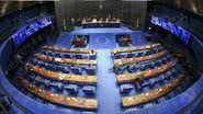 Divulgação / Senado