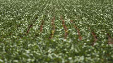 Foto: Marcelo Camargo/Agência Brasil