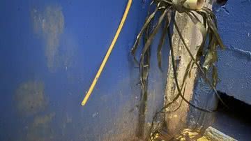 Reprodução Galaticos Online