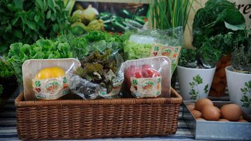 Fernando Frazão/Agência Brasil