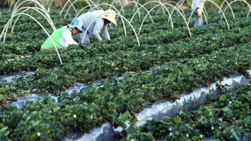 Foto: Valter Campanato/Agência Brasil