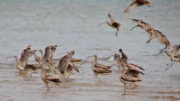 Arquivo Pessoal/Franziska Speck