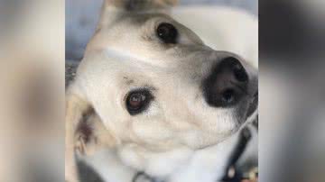 Reprodução/Instagram @oliviawilde