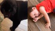 Reprodução/TikTok @karenstiegler