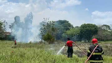 Felipe Neves / Ascom Adic