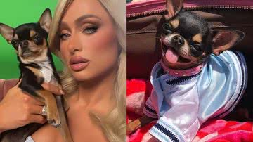 Reprodução/Instagram @parishilton