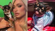 Reprodução/Instagram @parishilton