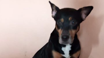 Reprodução/Leitor BNews