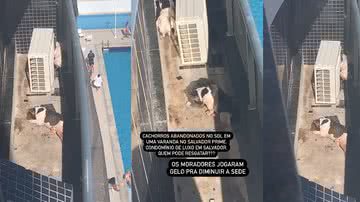 Reprodução // YouTube