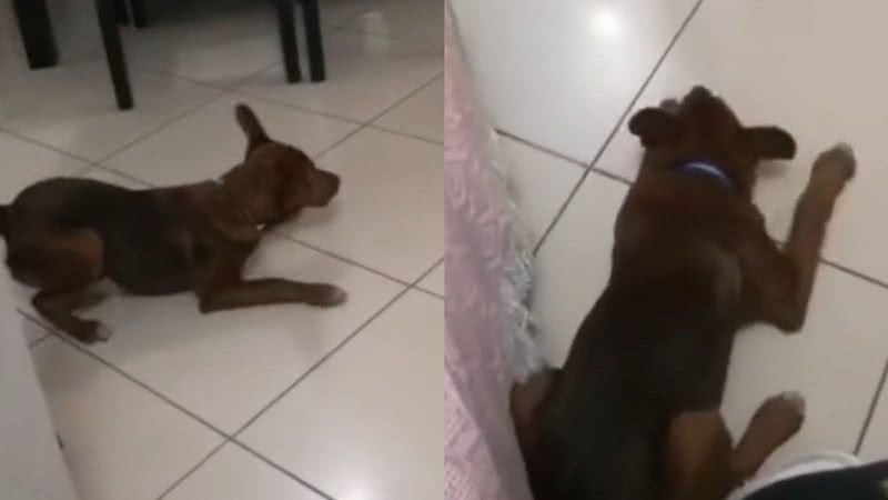 Reprodução/TikTok @thatricarico