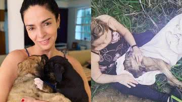 Reprodução/Instagram @ongtocadobicho