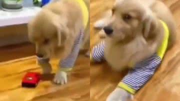 Reprodução/Twitter @atr_ahre