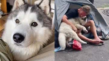 Reprodução/TikTok @colzouti