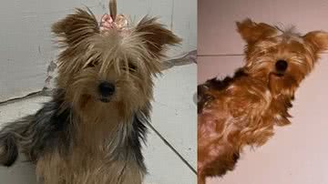 Arquivo Pessoa // João Gomes