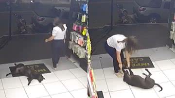 Reprodução/TikTok @julia.dutra_