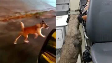 Reprodução/Redes Sociais